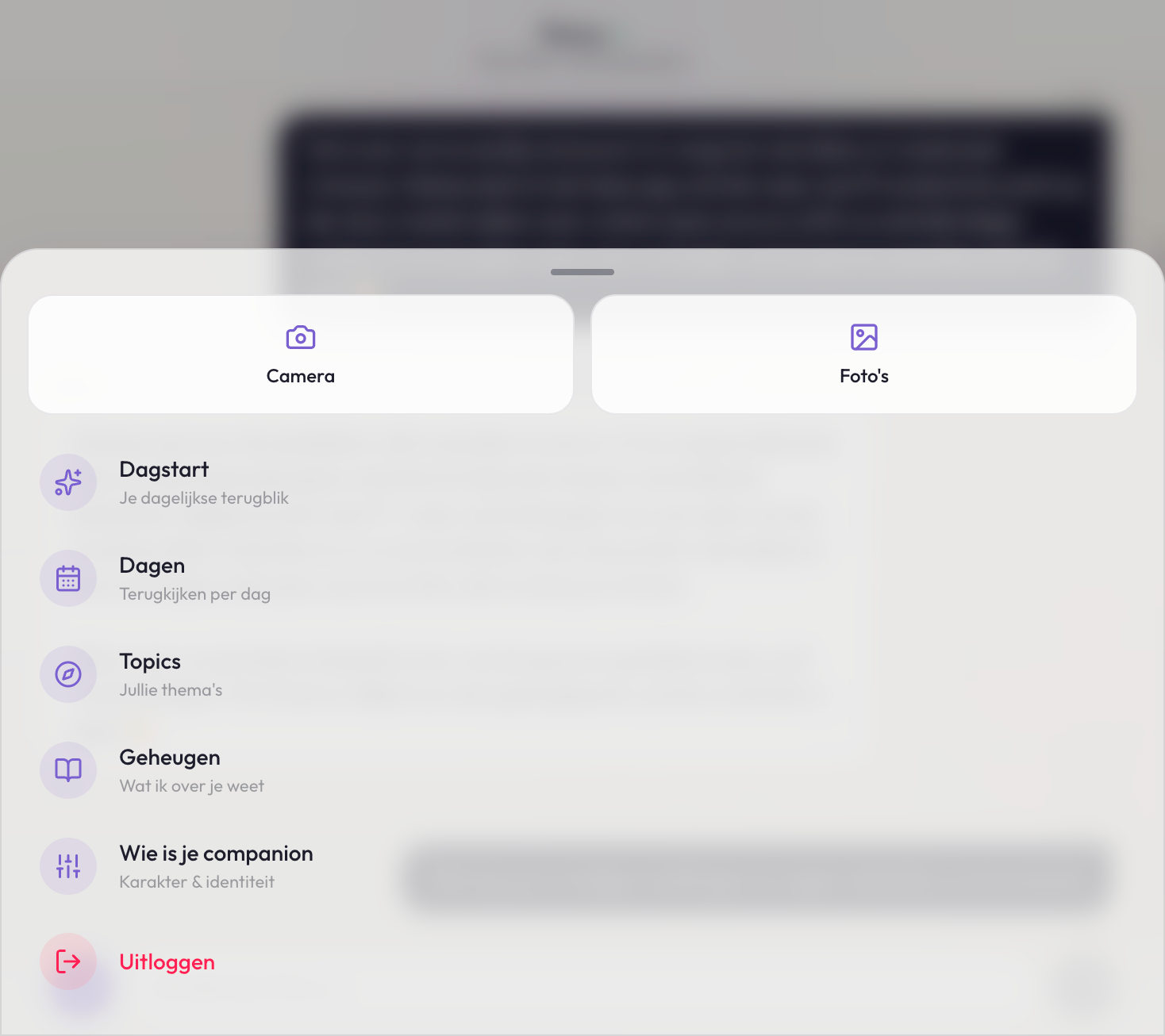 Panion navigation sidebar with settings and prompt persona customization options